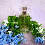 عطر ادکلن اینتوییشن استی لادر - Intuition Estée Lauder - بررسی، قیمت و خرید