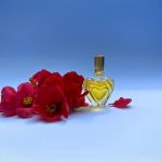 عطر ادکلن اسکادا مارگاریتا لی اسکادا - Escada Margaretha Ley Escada - بررسی، قیمت و خرید