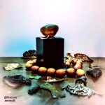 عطر ادکلن امبر سوا جورجیو آرمانی - Ambre Soie Giorgio Armani - بررسی، قیمت و خرید