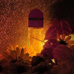 عطر ادکلن رِد دُر وِلوت الیزابت آردن - Red Door Velvet Elizabeth Arden - بررسی، قیمت و خرید