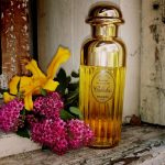 عطر ادکلن کالِش سُوا د پارفوم ارمِس - Caleche Soie de Parfum Hermès - بررسی، قیمت و خرید
