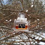 عطر ادکلن میس دیور له پارفوم دیور - Miss Dior Le Parfum Dior - بررسی، قیمت و خرید