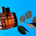 عطر ادکلن برازیل دریم استی لودر - Brasil Dream Estée Lauder - بررسی، قیمت و خرید