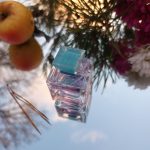 عطر ادکلن مای جیونچی دریم ژیوانشی - My Givenchy Dream Givenchy - بررسی، قیمت و خرید