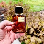 عطر ادکلن ولوت امبر سان دولچه گابانا - Velvet Amber Sun Dolce&Gabbana - بررسی، قیمت و خرید