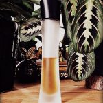 عطر ادکلن مانیا جیورجیو آرمانی - Mania Giorgio Armani - بررسی، قیمت و خرید