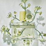 عطر ادکلن بوسکه هامیکی اند گریف - Bosque Humiecki & Graef - بررسی، قیمت و خرید