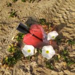 عطر ادکلن لاوردوز رد کیس دیزل - Loverdose Red Kiss Diesel - بررسی، قیمت و خرید