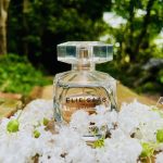 عطر ادکلن لو پَرفیوم الی ساب - Le Parfum Elie Saab - بررسی، قیمت و خرید