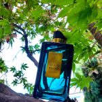 عطر ادکلن وود بلند داویدف - Wood Blend Davidoff - بررسی، قیمت و خرید
