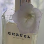 عطر ادکلن ایولوشن گرول - Evolution Gravel - بررسی، قیمت و خرید