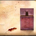 عطر ادکلن نیروانا آمتیست الیزابت اند جیمز - Nirvana Amethyst Elizabeth and James - بررسی، قیمت و خرید