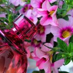 عطر ادکلن اپرا دزینتارس - Opera Dzintars - بررسی، قیمت و خرید