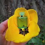 عطر ادکلن لو دو مونتیل ژرمن مونتیل - L'Eau De Monteil Germaine Monteil - بررسی، قیمت و خرید