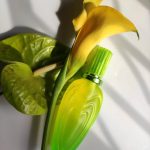 عطر ادکلن لیلی شیک اسکادا - Lily Chic Escada - بررسی، قیمت و خرید
