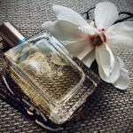 عطر ادکلن برنز گادس او فرش اسکینسنت ۲۰۱۷ اِستی لودر - Bronze Goddess Eau Fraiche Skinscent 2017 Estée Lauder - بررسی، قیمت و خرید