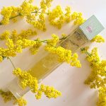 عطر ادکلن اِنوی می تو گوچی - Envy Me 2 Gucci - بررسی، قیمت و خرید