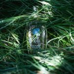 عطر ادکلن بلوگرس الیزابت آردن - Blue Grass Elizabeth Arden - بررسی، قیمت و خرید