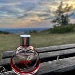 عطر ادکلن هوگو وومن او دو پرفیوم هوگو بوس - Hugo Woman Eau de Parfum Hugo Boss - بررسی، قیمت و خرید