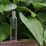 عطر ادکلن اون جاردین اپق لاموسون اِرمِس - Un Jardin Apres la Mousson Hermès - بررسی، قیمت و خرید