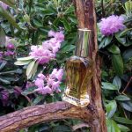 عطر ادکلن اینتریگا نامبر وان دزینتارس - Intriga No1 Dzintars - بررسی، قیمت و خرید