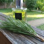 عطر ادکلن اینستینکت دیوید بکهام - Instinct David Beckham - بررسی، قیمت و خرید
