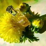 عطر ادکلن کروز کالکشن اسکاله او مارکویس دیور - Cruise Collection Escale Aux Marquises Dior - بررسی، قیمت و خرید