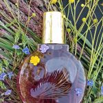 عطر ادکلن مینیوت اِ نیو یورک گلوریا وندربیلت - Minuit à New York Gloria Vanderbilt - بررسی، قیمت و خرید