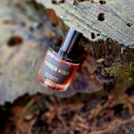 عطر ادکلن امبر کیسو دی‌اس اند درگا - Amber Kiso DS&Durga - بررسی، قیمت و خرید