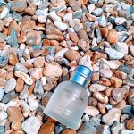 عطر ادکلن لایت بلو پور هوم دولچه و گابانا - Light Blue pour Homme Dolce&Gabbana - بررسی، قیمت و خرید