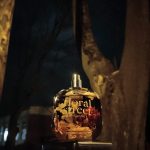 عطر ادکلن وایلد ونیلا ارکید فلورال استریت - Wild Vanilla Orchid Floral Street - بررسی، قیمت و خرید