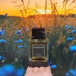 عطر ادکلن هائیتیان وتیور Ermenegildo Zegna - Haitian Vetiver Ermenegildo Zegna - بررسی، قیمت و خرید