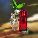 عطر ادکلن رد دور لیمیتد ادیشن الیزابت آردن - Red Door Limited Edition Elizabeth Arden - بررسی، قیمت و خرید