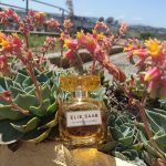 عطر ادکلن له پرفیوم لومیر ایلی ساب - Le Parfum Lumière Elie Saab - بررسی، قیمت و خرید