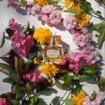 عطر ادکلن له پرفیوم لومیر ایلی ساب - Le Parfum Lumière Elie Saab - بررسی، قیمت و خرید