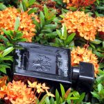 عطر ادکلن بلک تاچ فرانک اولیویه - Black Touch Franck Olivier - بررسی، قیمت و خرید