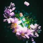 عطر ادکلن لایف اسنس فندی - Life Essence Fendi - بررسی، قیمت و خرید