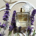 عطر ادکلن بک تو پاریس آیزنبرگ - Back To Paris Eisenberg - بررسی، قیمت و خرید