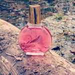 عطر ادکلن مینیوت اِ نیو یورک گلوریا وندربیلت - Minuit à New York Gloria Vanderbilt - بررسی، قیمت و خرید