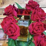 عطر ادکلن دولچه گابانا دولچه اند گابانا - Dolce&Gabbana Dolce&Gabbana - بررسی، قیمت و خرید