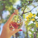 عطر ادکلن سنسی جیورجیو آرمانی - Sensi Giorgio Armani - بررسی، قیمت و خرید