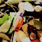 عطر ادکلن بلامی ارمیس - Bel Ami Hermès - بررسی، قیمت و خرید