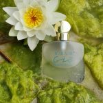 عطر ادکلن آکوا دی ژو جیورجیو آرمانی - Acqua di Gio Giorgio Armani - بررسی، قیمت و خرید