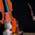 عطر ادکلن تابو دانا - Tabu Dana - بررسی، قیمت و خرید