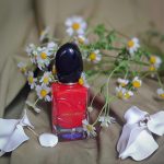 عطر ادکلن سی پاسیونه جیورجیو آرمانی - Sì Passione Giorgio Armani - بررسی، قیمت و خرید