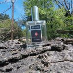 عطر ادکلن گییر نس فور من گیر نس - Geir Ness for Men Geir Ness - بررسی، قیمت و خرید
