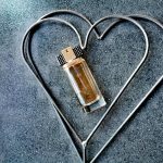 عطر ادکلن مودرن میوز شیک استی لودر - Modern Muse Chic Estée Lauder - بررسی، قیمت و خرید