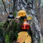 عطر ادکلن اپرا نایت دزینتارس - Opera Night Dzintars - بررسی، قیمت و خرید