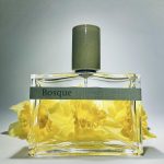 عطر ادکلن بوسکه هامیکی اند گریف - Bosque Humiecki & Graef - بررسی، قیمت و خرید