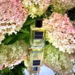 عطر ادکلن اسنس نامبر تو گاردنیا إیلی ساب - Essence No. 2 Gardenia Elie Saab - بررسی، قیمت و خرید